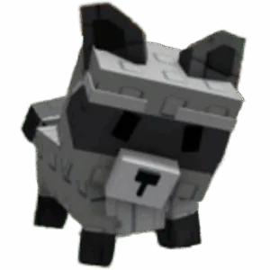 Raccoon