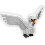 Swan