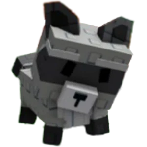Raccoon